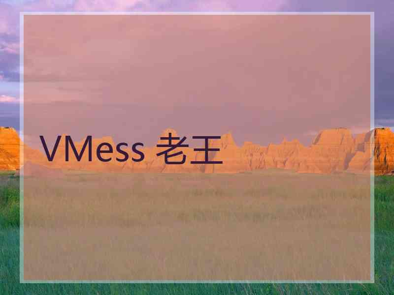 VMess 老王