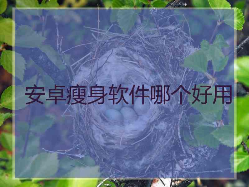 安卓瘦身软件哪个好用