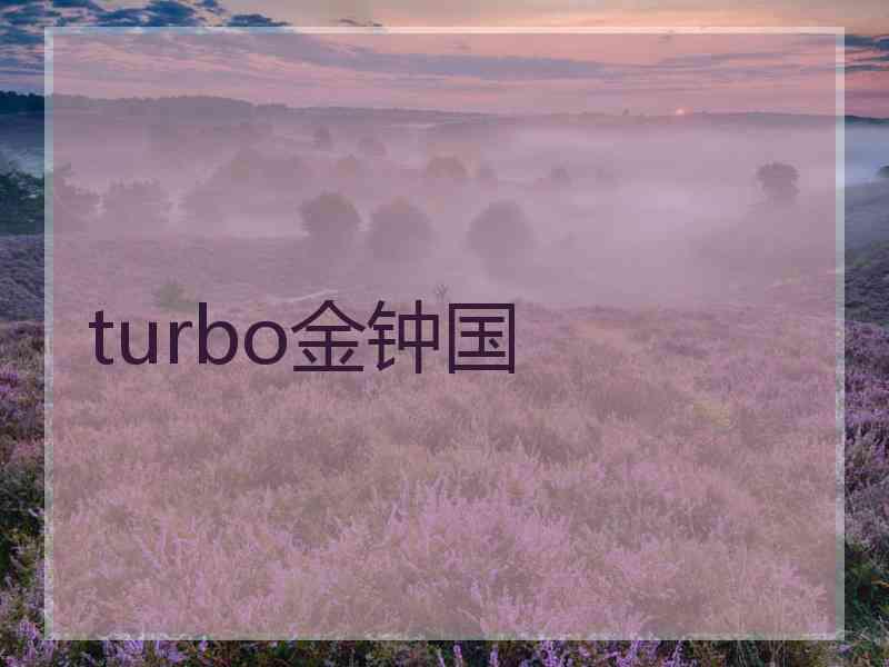 turbo金钟国