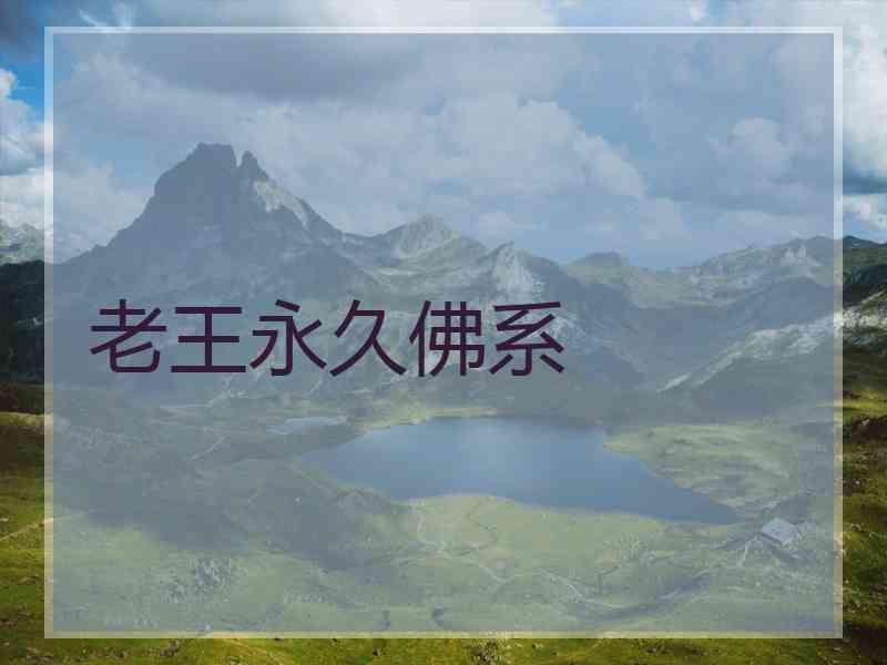 老王永久佛系