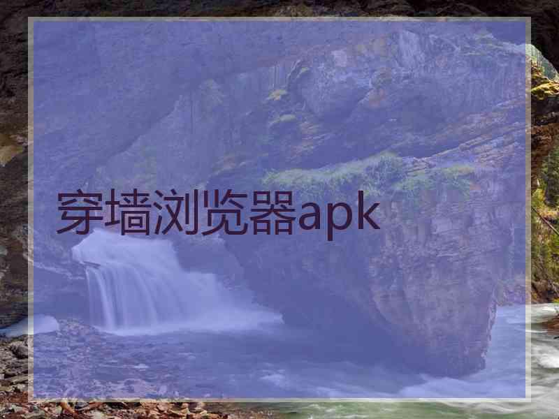 穿墙浏览器apk
