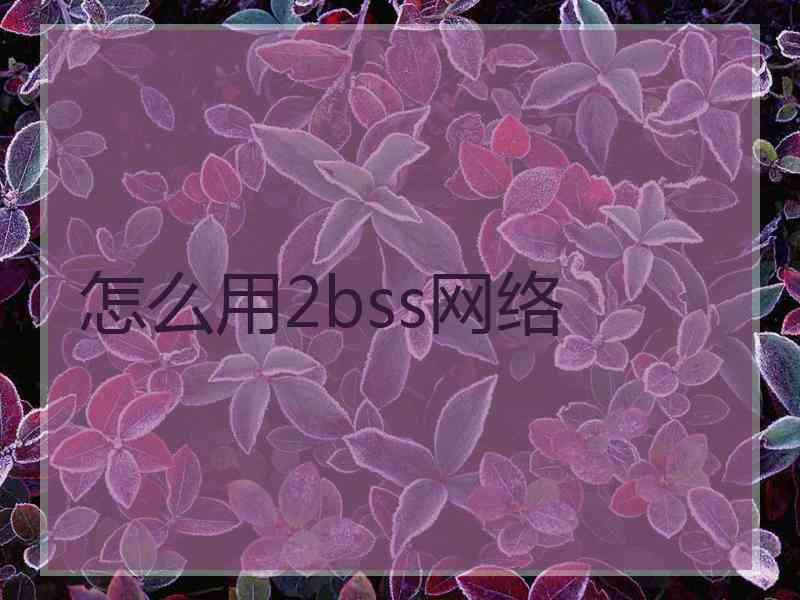 怎么用2bss网络