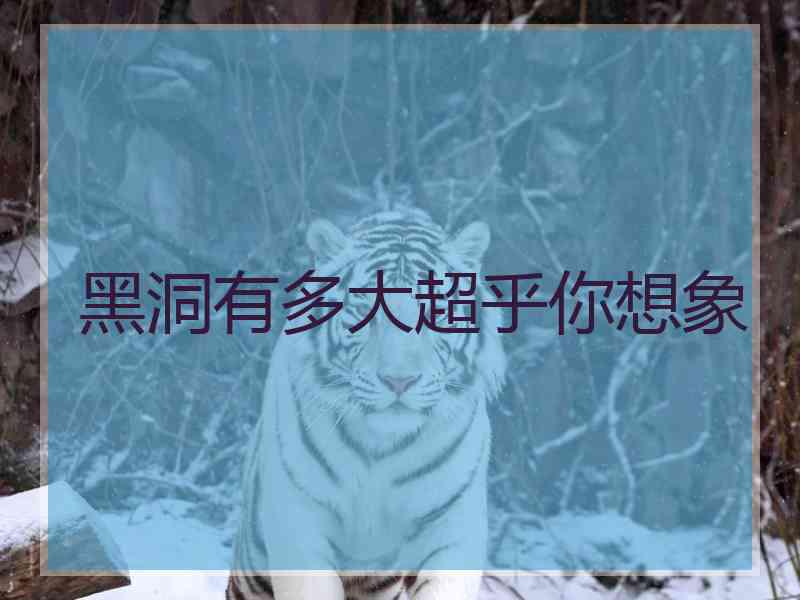 黑洞有多大超乎你想象