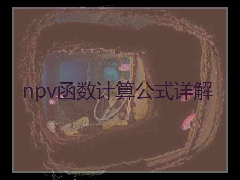 npv函数计算公式详解
