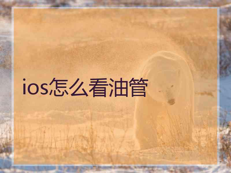 ios怎么看油管
