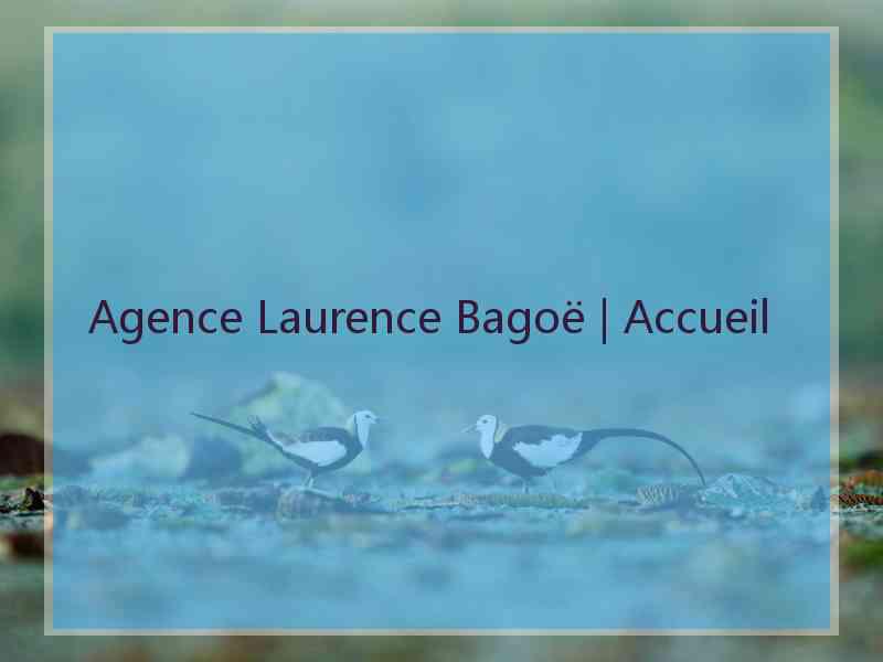 Agence Laurence Bagoë | Accueil