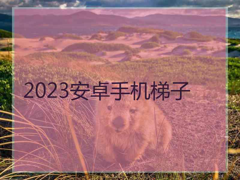 2023安卓手机梯子