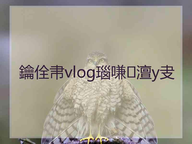 鑰佺帇vlog瑙嗛澶у叏