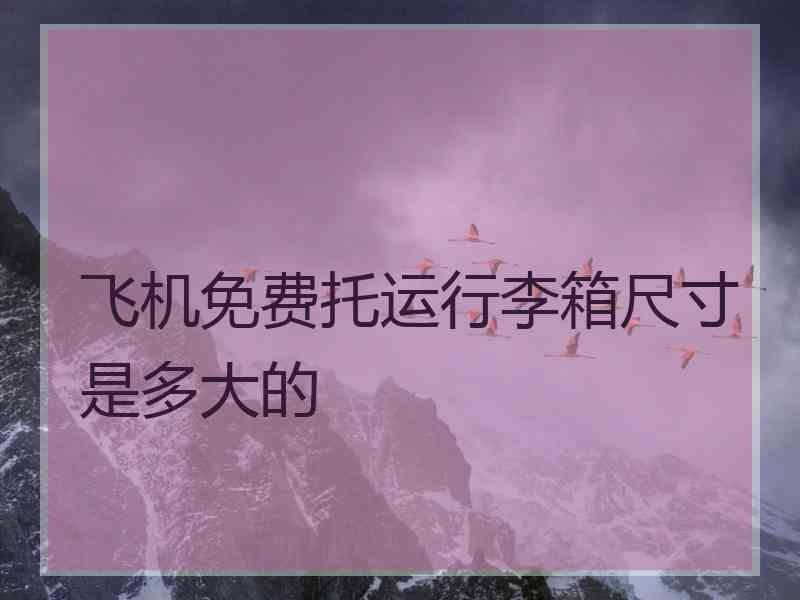 飞机免费托运行李箱尺寸是多大的