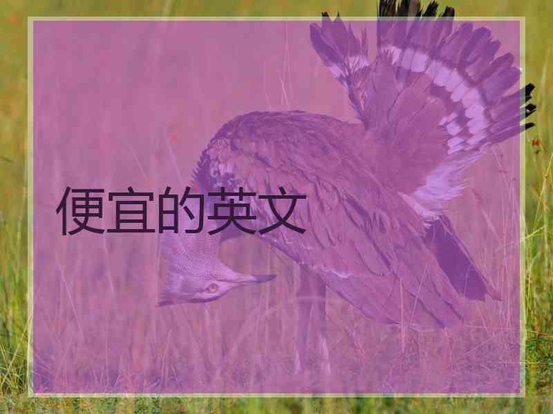 便宜的英文
