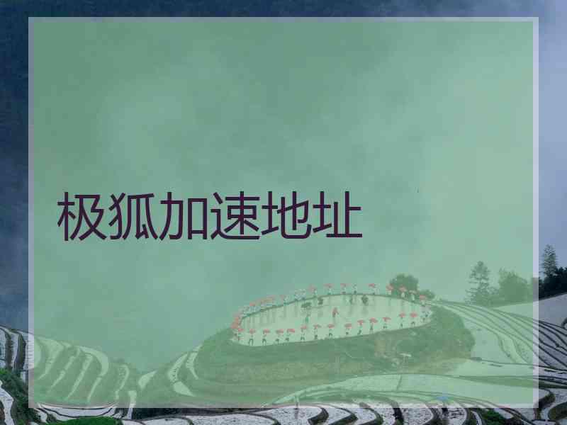 极狐加速地址