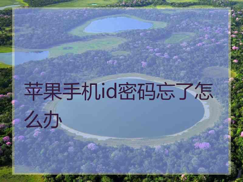 苹果手机id密码忘了怎么办