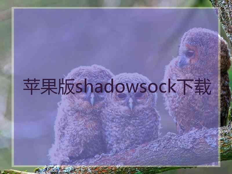 苹果版shadowsock下载