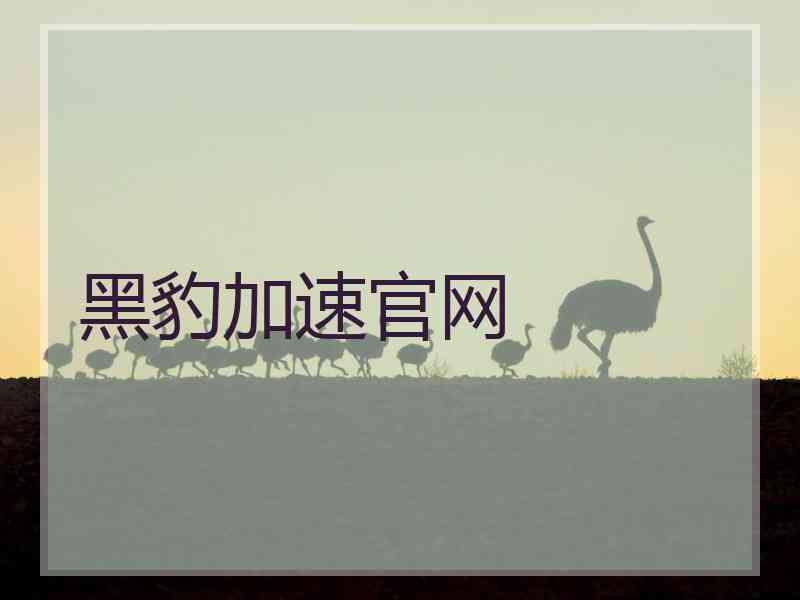 黑豹加速官网