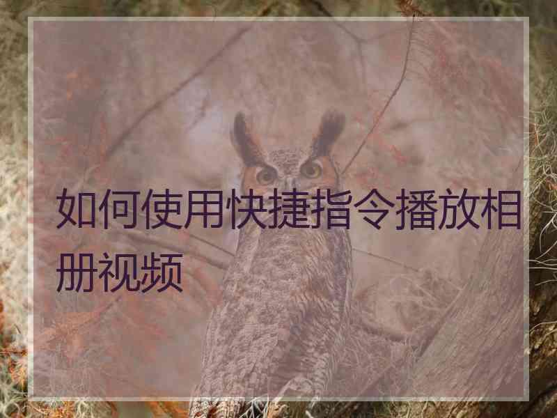 如何使用快捷指令播放相册视频