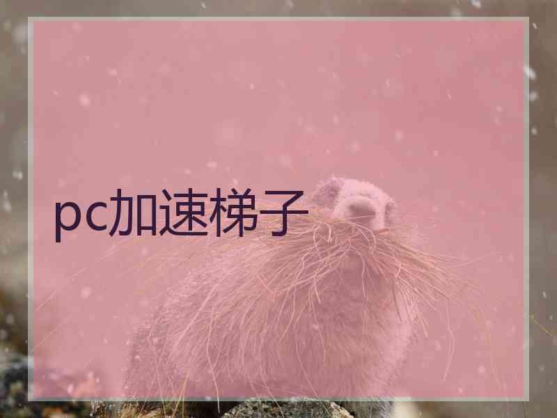 pc加速梯子