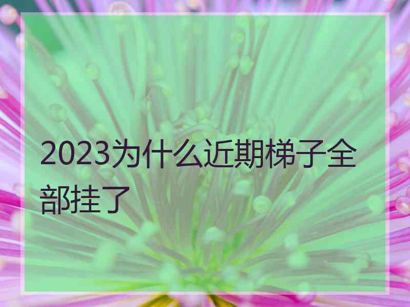 2023为什么近期梯子全部挂了