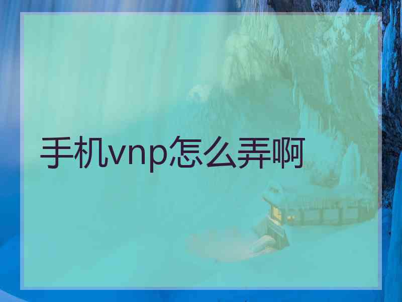手机vnp怎么弄啊