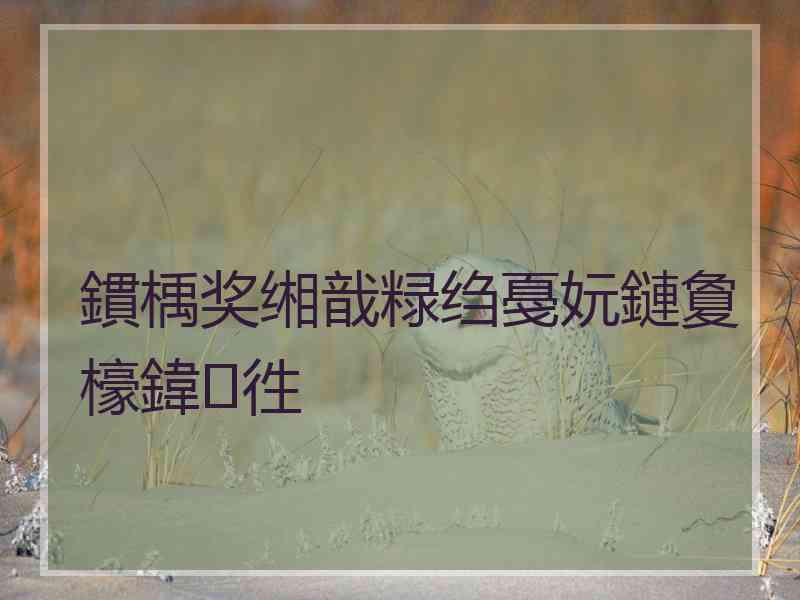鏆楀奖缃戠粶绉戞妧鏈夐檺鍏徃
