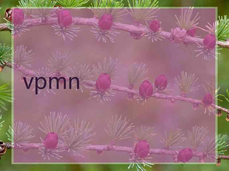 vpmn
