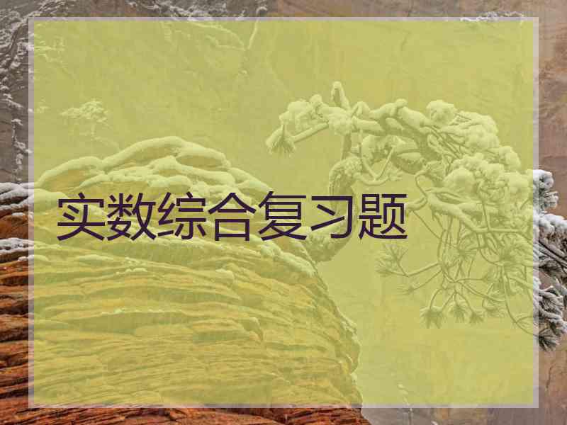 实数综合复习题