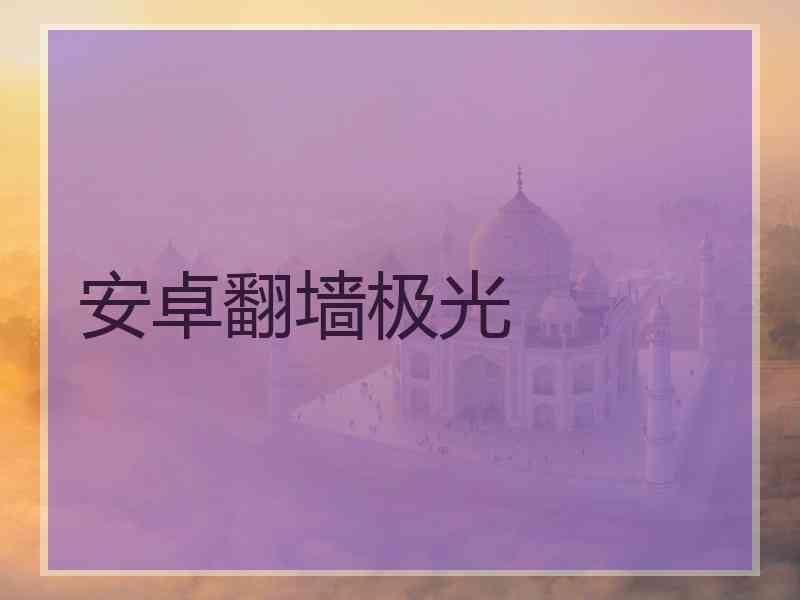 安卓翻墙极光