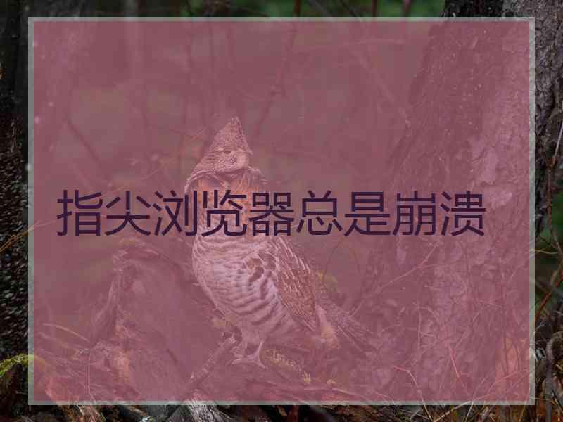 指尖浏览器总是崩溃