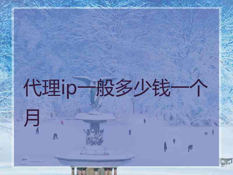 代理ip一般多少钱一个月