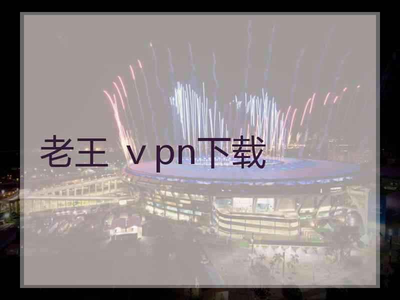老王 ⅴpn下载