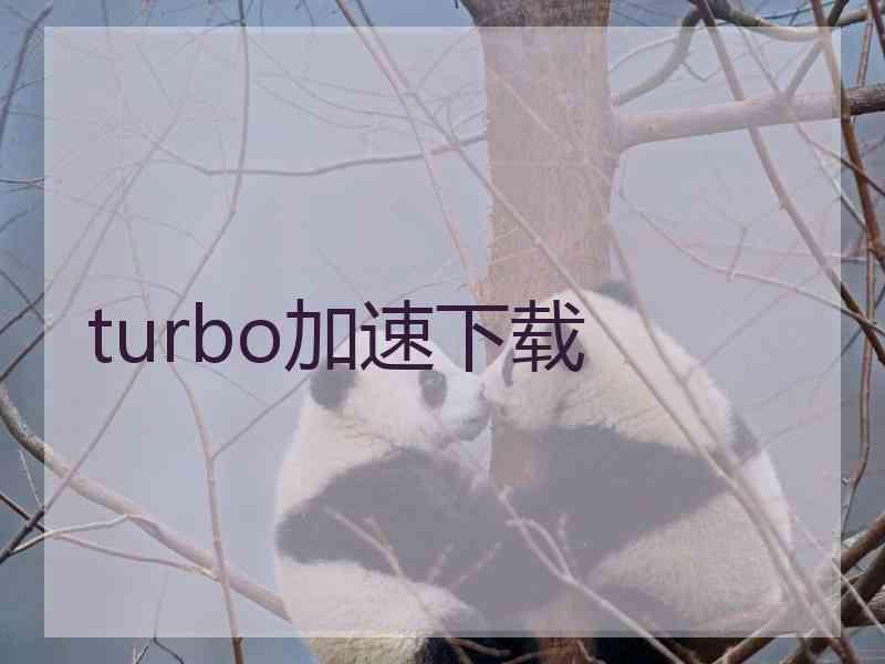 turbo加速下载