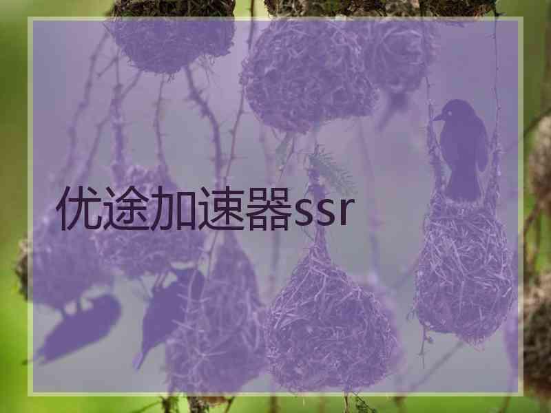 优途加速器ssr