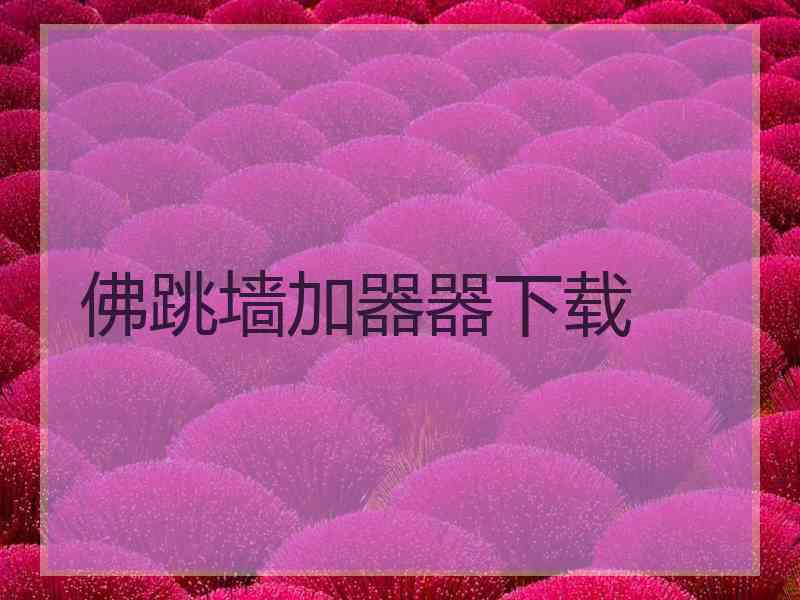 佛跳墙加器器下载