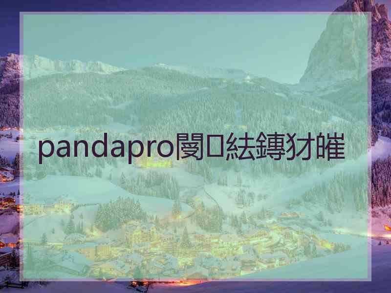 pandapro閿紶鏄犲皠