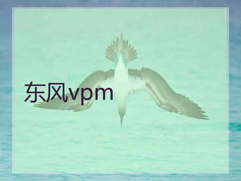 东风vpm