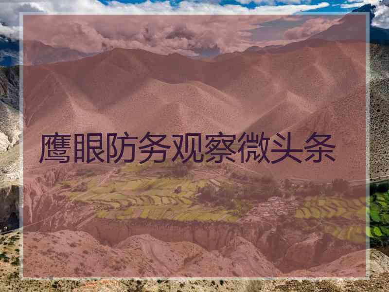 鹰眼防务观察微头条