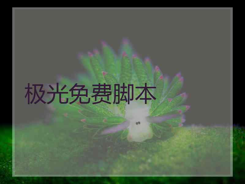 极光免费脚本