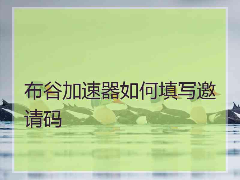布谷加速器如何填写邀请码