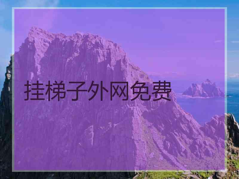 挂梯子外网免费