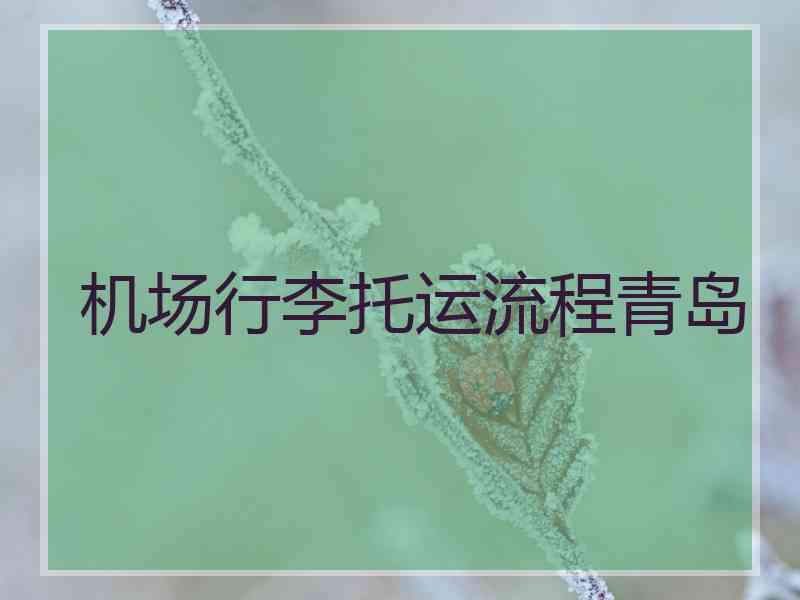 机场行李托运流程青岛