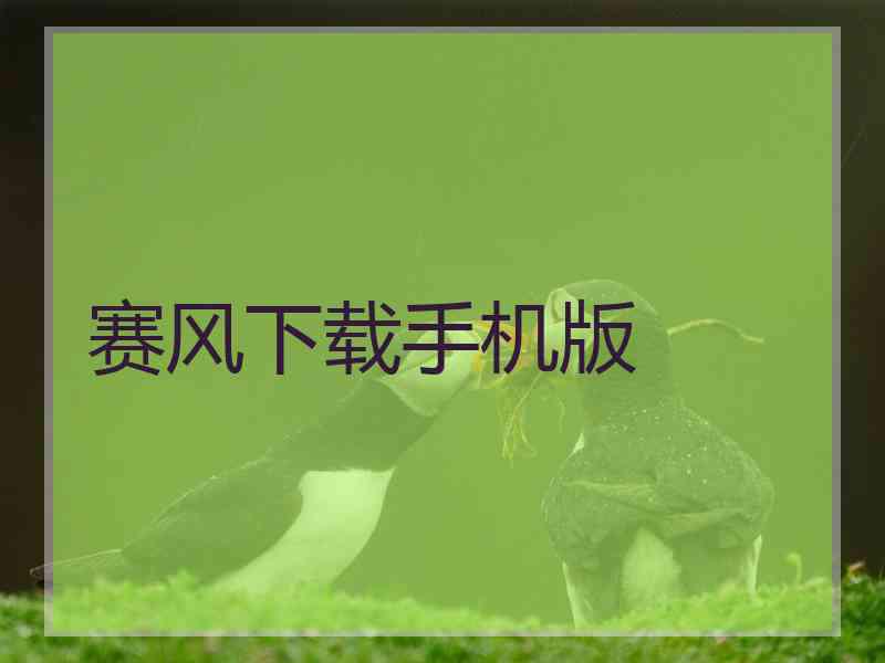 赛风下载手机版