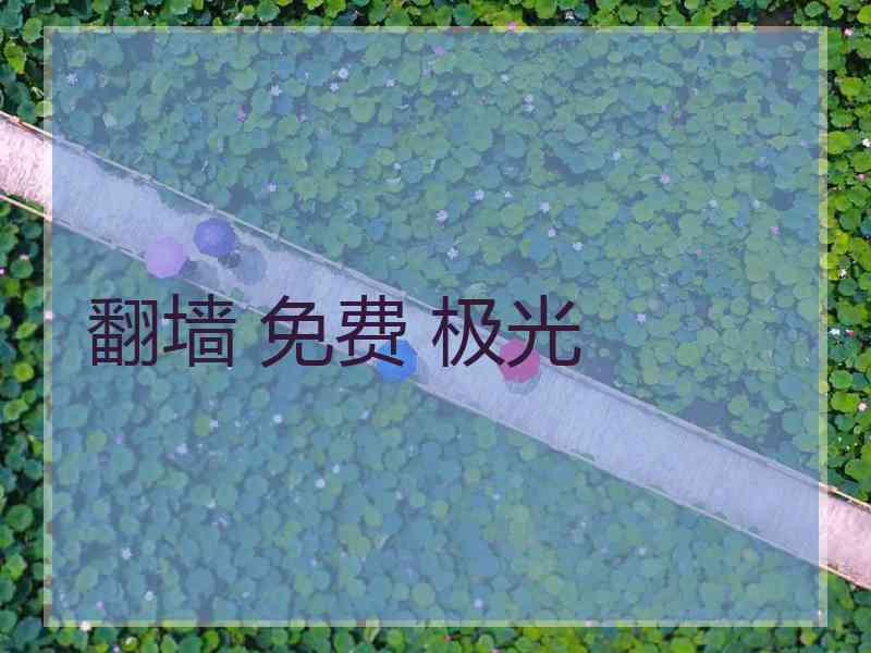 翻墙 免费 极光
