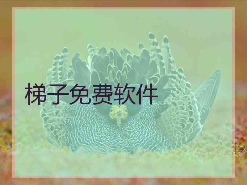 梯子免费软件