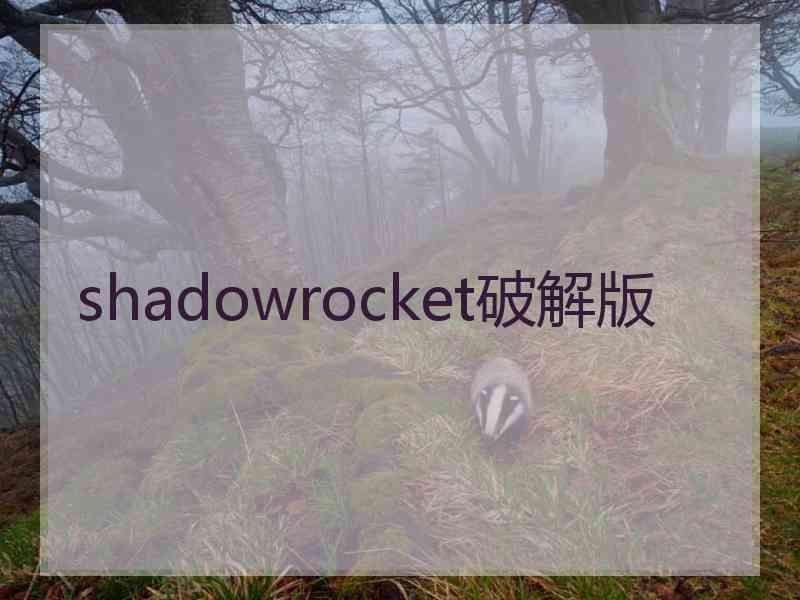 shadowrocket破解版