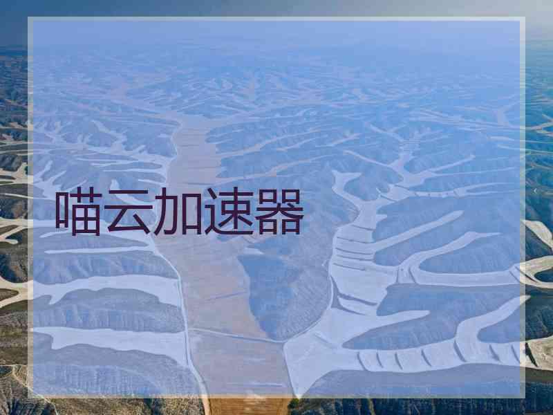 喵云加速器