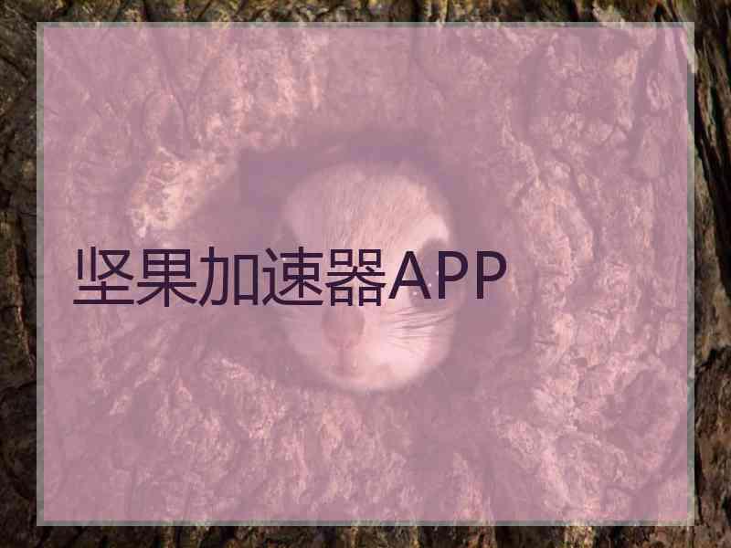 坚果加速器APP
