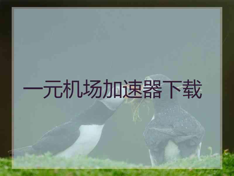 一元机场加速器下载