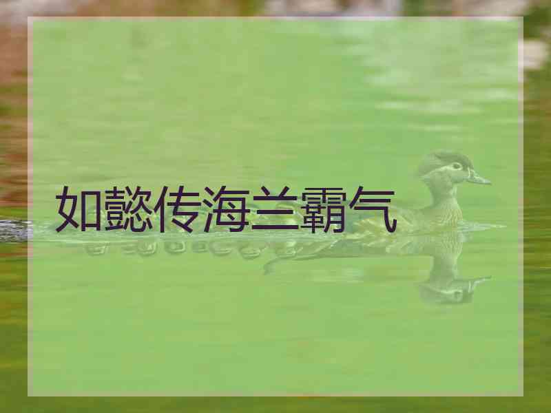 如懿传海兰霸气