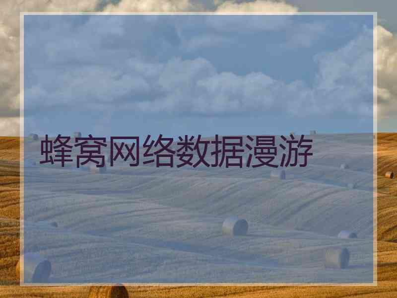 蜂窝网络数据漫游