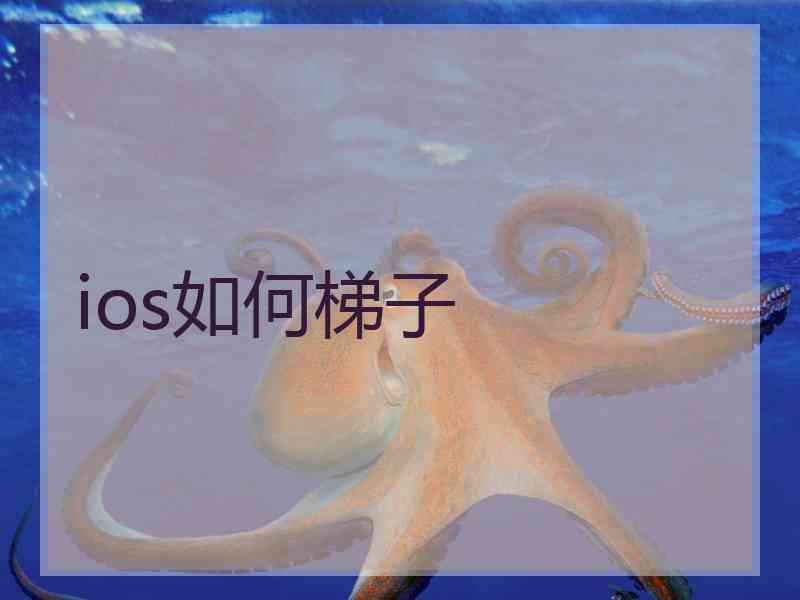 ios如何梯子