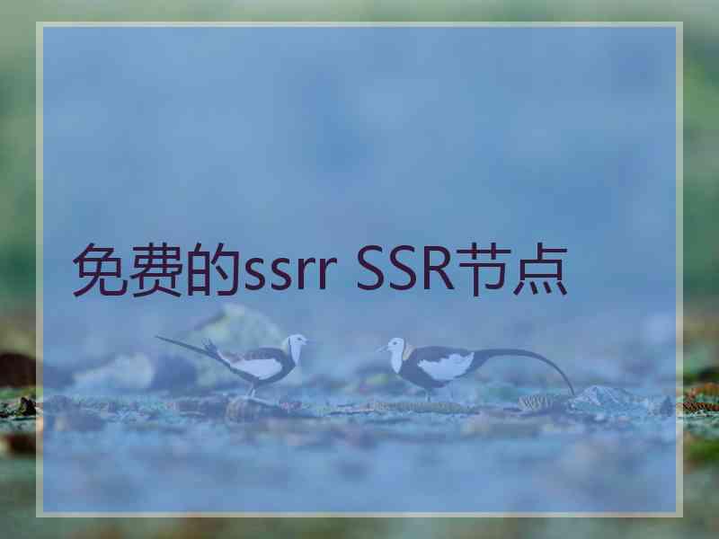 免费的ssrr SSR节点